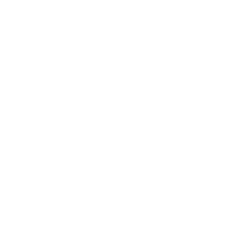 TZ Logo